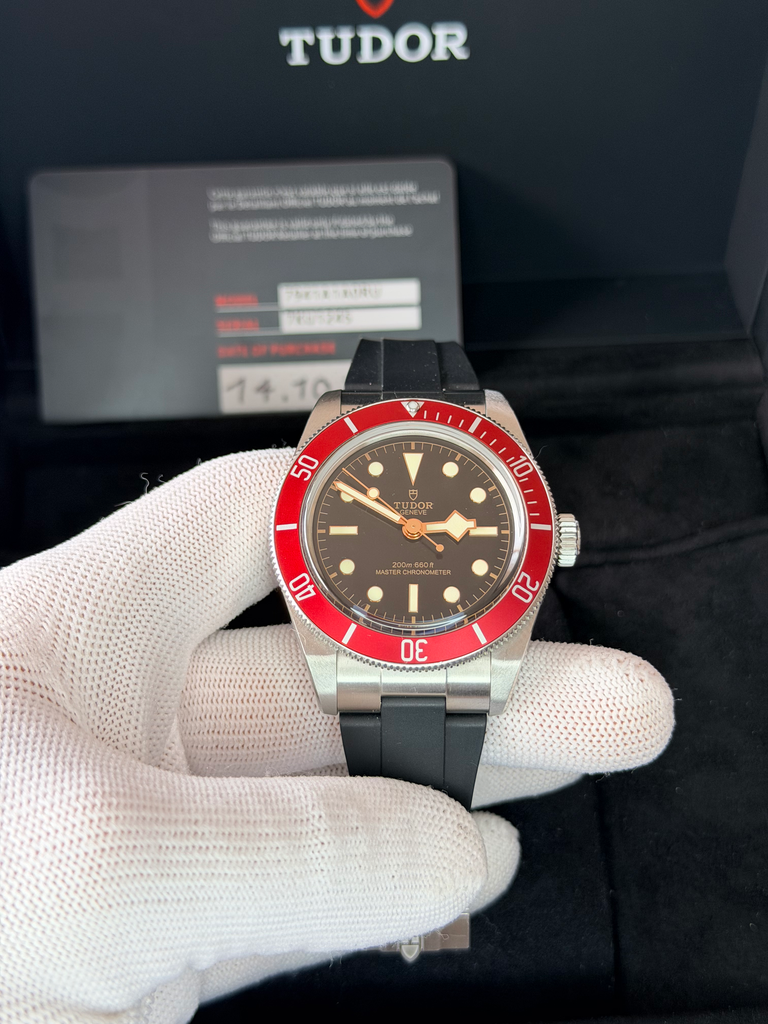  Tudor Black Bay 41mm